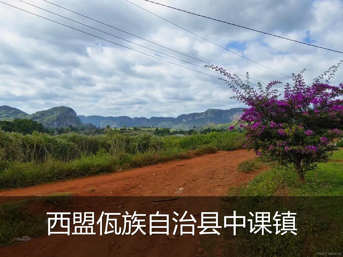 西盟佤族自治县中课镇