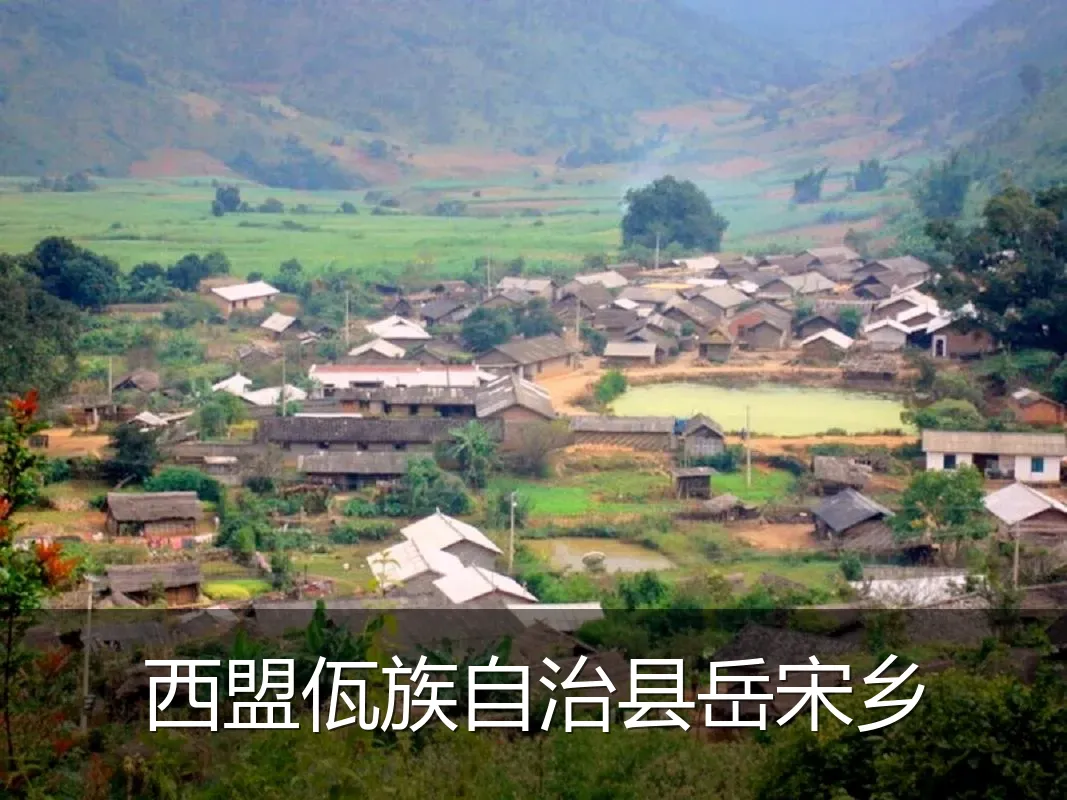 西盟佤族自治县岳宋乡