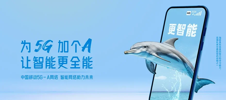西盟佤族自治县西盟佤族自治县勐卡镇 移动宽带